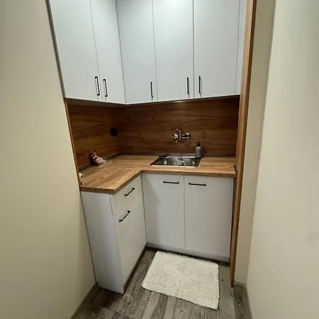 Apartment Mini House